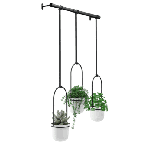 Umbra Triflora Hanging Planter for Window